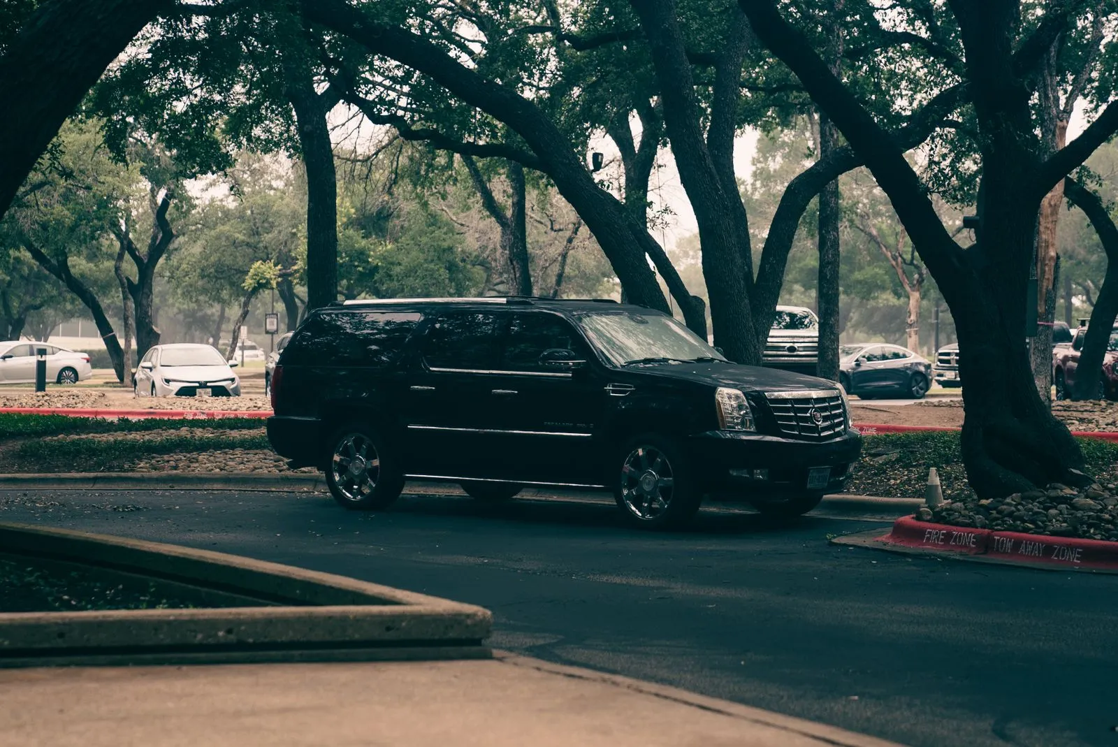 Sedan vs. SUV vs. Sprinter Van: Which Vehicle Should You Actually Book?
